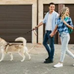 Garažna vrata z dodatnimi varnostnimi funkcijami za zaščito doma